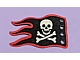 invID: 266908603 P-No: x376px4  Name: Cloth Flag 8 x 5 Wave with Red Border and Skull and Crossbones Pattern