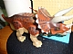 invID: 287239417 P-No: tricera01  Name: Dinosaur Triceratops with Reddish Brown Back