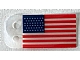 invID: 314163920 P-No: 10294pls01c  Name: Plastic Part for Set 10294 - Flag with United States Circa 1912 Pattern