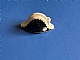 invID: 314183958 P-No: 2528pb02  Name: Minifigure, Headgear Hat, Pirate Bicorne with Cockade on Black Scalloped Background Pattern