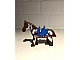 invID: 323266656 P-No: 4493c01px2  Name: Horse with Blue Blanket, Right Side Red Circle Pattern