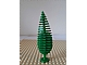 invID: 324122877 P-No: 3778  Name: Plant, Tree Cypress