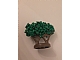 invID: 324139502 P-No: GTBush  Name: Plant, Tree Granulated Bush with 2 Trunks
