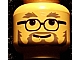 invID: 327304833 P-No: 3626bpx14  Name: Minifigure, Head Glasses with Gray Eyebrows, Beard and Moustache Pattern - Blocked Open Stud
