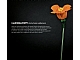 invID: 347329210 S-No: 10280  Name: Flower Bouquet