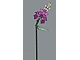 invID: 347330910 S-No: 10280  Name: Flower Bouquet
