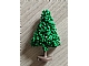 invID: 347815632 P-No: GTPine  Name: Plant, Tree Granulated Pine