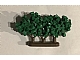 invID: 348014463 P-No: GTBush3  Name: Plant, Tree Granulated Bush with 3 Trunks