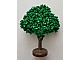 invID: 353842969 P-No: GTFruit  Name: Plant, Tree Granulated Fruit