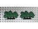 invID: 354885608 P-No: FTBush  Name: Plant, Tree Flat Bush painted with solid base