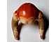invID: 360278117 P-No: 87573pb01  Name: Minifigure, Headgear Head Top with Dark Tan SW Iktotchi Horns, Dark Orange Saesee Tiin Pattern