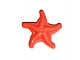 invID: 366688287 P-No: 49595e  Name: Friends Accessories Starfish / Sea Star