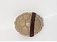 invID: 373760651 P-No: 12609pb01  Name: Minifigure Turtle Shell with Dark Brown Horizontal Belt Pattern