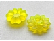 invID: 373830084 P-No: 45456  Name: Clikits, Icon Flower 10 Petals 2 x 2 Small with Pin, Frosted (Solid and Transparent Colors)