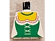 invID: 384378634 P-No: 973p4q  Name: Torso Castle Forestman Green Corset and Necklace Original Bright Pattern (Maiden)