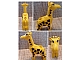 invID: 393845966 P-No: 2259c01pb02  Name: Duplo Giraffe Adult Small, Eyes Squared Pattern