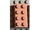 invID: 395535398 P-No: 3001special  Name: Brick 2 x 4 special (special bricks, test bricks and/or prototypes)