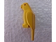 invID: 401446563 P-No: 2546  Name: Bird, Parrot with Small Beak