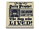 invID: 403242037 P-No: 3068pb1156  Name: Tile 2 x 2 with Newspaper, 'the Daily Prophet', 'EXCLUSIVE HARRY POTTER', 'The Boy who LIVED!', and Image of Boy with Glasses Pattern