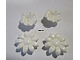 invID: 403476764 P-No: x10  Name: Scala Accessories - Complete Sprue - Flowers (2 each of Types 2 & 3)