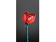 invID: 404017956 S-No: 10328  Name: Bouquet of Roses