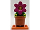 invID: 408501761 S-No: col18  Name: Flowerpot Girl, Series 18 (Complete Set with Stand and Accessories)
