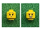 invID: 411324124 P-No: 3626cpb2086  Name: Minifigure, Head Dual Sided Female Dark Orange Eyebrows, Freckles, Pink Lips, Smile / Pursed Lips Pattern - Hollow Stud