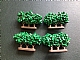 invID: 414423979 P-No: GTBush3  Name: Plant, Tree Granulated Bush with 3 Trunks