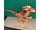 invID: 424003162 P-No: styg01  Name: Dinosaur Stygimoloch with Dark Orange Back and Dark Brown Stripes